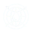 Quality Icon